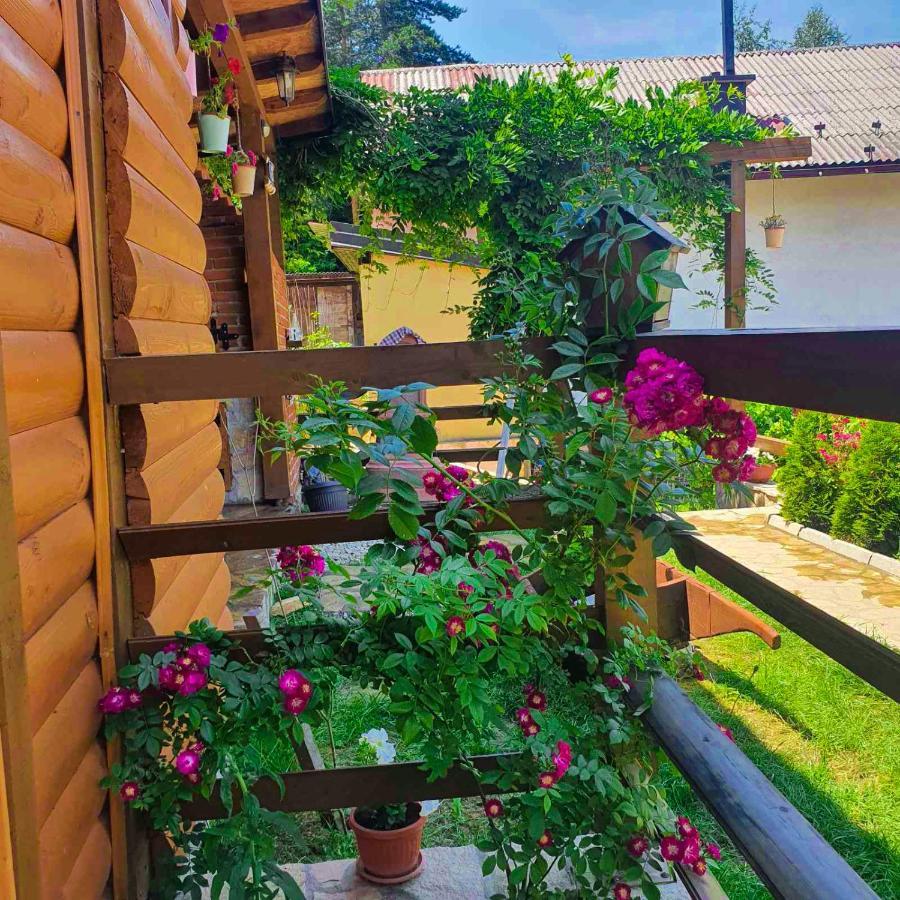Apartment Little Paradise วิโซโค ภายนอก รูปภาพ
