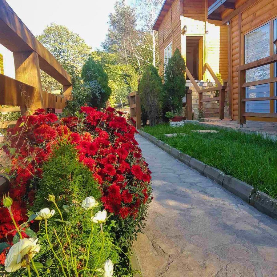 Apartment Little Paradise วิโซโค ภายนอก รูปภาพ